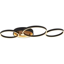 Curio Flush - Black Metal &amp; Wood