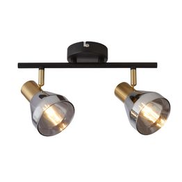 Westminster 2Lt Spot - Black, Satin Brass Metal &amp; Smoked
