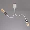 Grace Flexible E27 Ceiling 2 Light Satin White/Satin Nickel additional 2