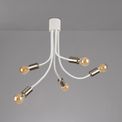 Grace Flexible 5 Light Ceiling Light in Satin White/Satin Nickel additional 6