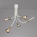 Grace Flexible 5 Light Ceiling Light in Satin White/Satin Nickel additional 9