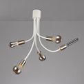 Grace Flexible 5 Light Ceiling Light in Satin White/Satin Nickel additional 2