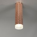 Sienna 1 Light 20cm Surface Mounted Ceiling GU10, Rose Gold/Acrylic Ring additional 1