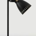 Beah Adjustable Table Lamp, 1 x E27, Matt Black/Antique Brass/Khaki additional 2