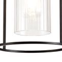 Reneta Single Pendant, 1 Light E27, Black/Clear Glass additional 6
