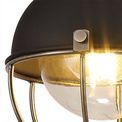 Leanne Pendant, 1 Light E27, IP65, Matt Black/Brushed Bronze, 2yrs Warranty additional 8