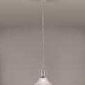 Lucinda 1 Light Pendant E27 With 30cm Bell Glass Shade, Polished Nickel/Clear additional 1