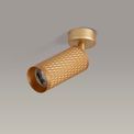 Sienna Surface Mounted Spot Light, 1 x GU10, Champagne Gold additional 2