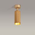 Sienna Surface Mounted Spot Light, 1 x GU10, Champagne Gold additional 3