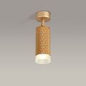 Sienna 1 Light Surface Mounted Spotlight GU10, Champagne Gold/Acrylic Ring additional 3
