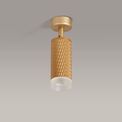 Sienna 1 Light Surface Mounted Spotlight GU10, Champagne Gold/Acrylic Ring additional 4