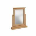Northampton Bedroom Trinket Mirror 50 x 12 x 60 cm additional 1
