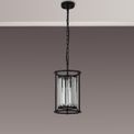 Bonnie Pendant Light additional 6