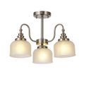 Shelby Semi Flush / Pendant Light additional 4
