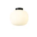 Shell Medium Oval Ball Flush Fitting 1 Light E27 Matt Black Base With Frosted White Glass Globe additional 3