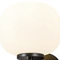 Shell Small Oval Ball Wall Light 1 Light E27 Matt Black Base With Frosted White Glass Globe additional 5