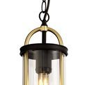 Georgia Pendant, 1 x E27, Black &amp; Gold/Clear Glass, IP54, 2yrs Warranty additional 6