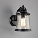 Bethan Wall Lamp, 1 x E27, Black/Gold With Seeded Clear Glass, IP54, 2yrs Warranty additional 1
